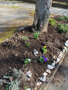 WhatsApp Image 2026 03 18 at 14.23.02