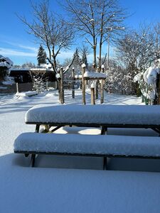 WhatsApp Image 2026 01 27 at 10.26.38