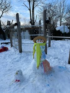 WhatsApp Image 2026 01 27 at 15.55.23 2